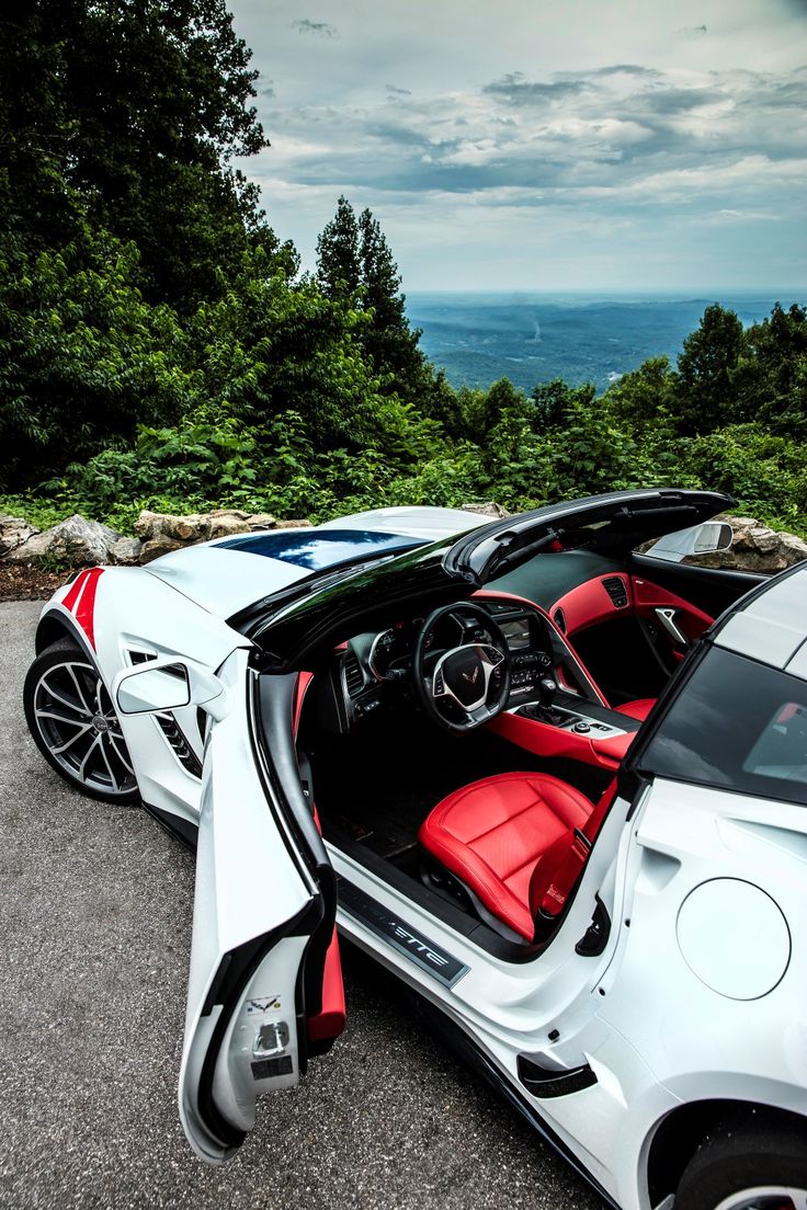 2017 C7 Grand Sport Corvette Curtis Fish Customs N