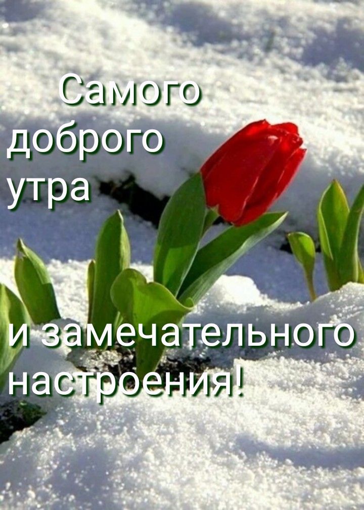 обозначения, фото с добрым утром лена швейцарии этой