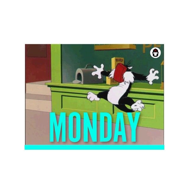 70 best gifs images on pinterest startups, funny emoji and gifs a28c4acca835681f5e85c751768df3e8 funny emoji startups 70 best gifs images on pinterest startups, funny emoji and gifs,Download App Meme Funny