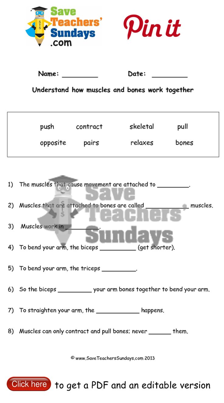 Workbooks science 7 worksheets : 20 best Year 3 Animals, including Humans lesson plans, worksheets ...