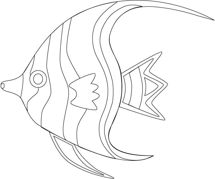 459 best Amphibians \ Sea Life Coloring Pages images on Pinterest - copy animal coloring pages that you can print 459 best Amphibians \ Sea Life Coloring Pages images on Pinterest - copy animal coloring pages that you can print