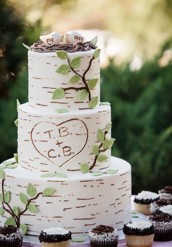 Best 25 Birch Wedding Cakes Ideas On Pinterest Cake Birch Wedding Cake You Could Use Real Logs To Avoid Having Have