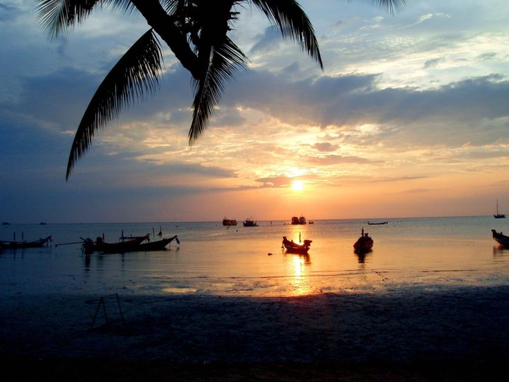 Thai paradies ulm