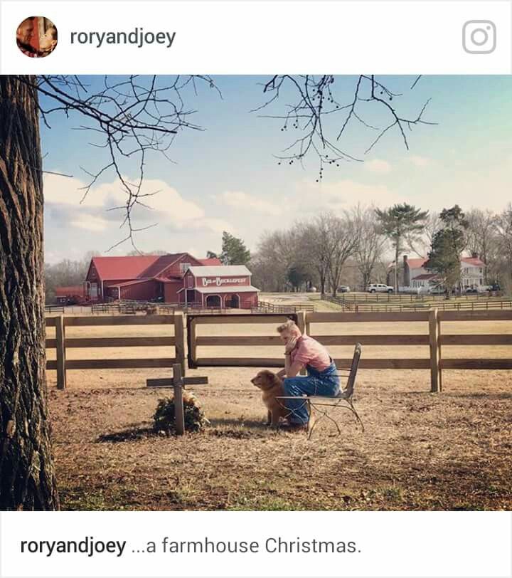 Lyric rory lyrics : 255 best Joey and Rory images on Pinterest | Joey feek, Indiana ...