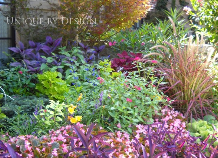 257 Best Front Yard Landscaping Plants Images On Pinterest 257 Best Front Yard Landscaping Plants Images On Pinterest Garden Layouts And Gardening