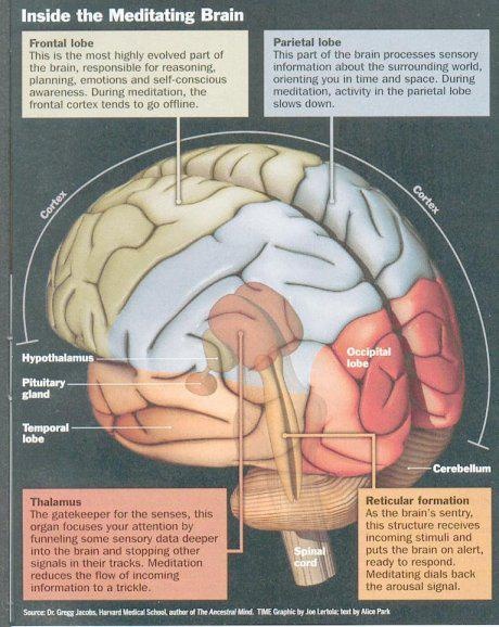 Comfort adn arousal