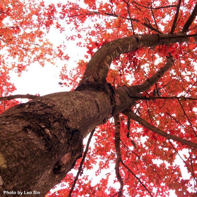 As temperature dropped and Hong Kong entered Winter, we know it's about time for...