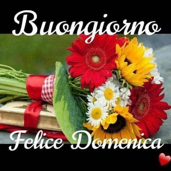 felice domenica | Buona domenica, Citazioni buona domenica, Buongiorno