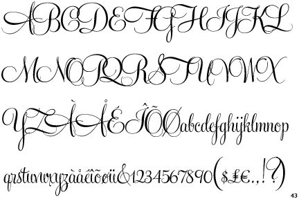 feel script font