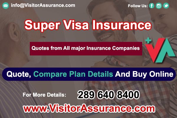 Phone 1 289 640 8400 1 855 640 8400 Email Info Visitorassurance