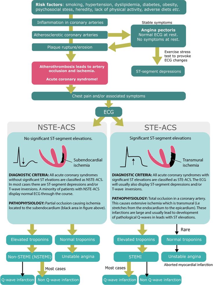 figure 1 flow chart showing the natural course of coronary artery flow chart