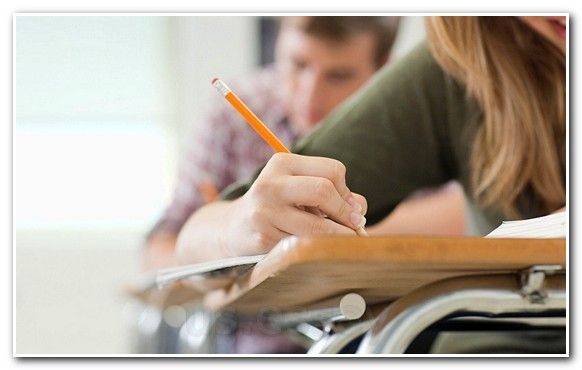 Law custom essay