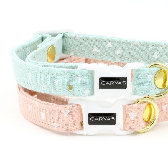 Can Sphynx Cats Wear Collars Can Sphynx Cats Wear Collars