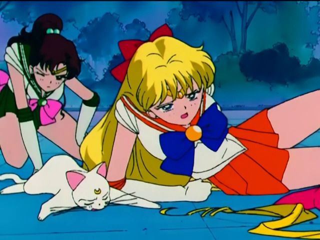 sailor venus lesbian Sailor venus lesbian