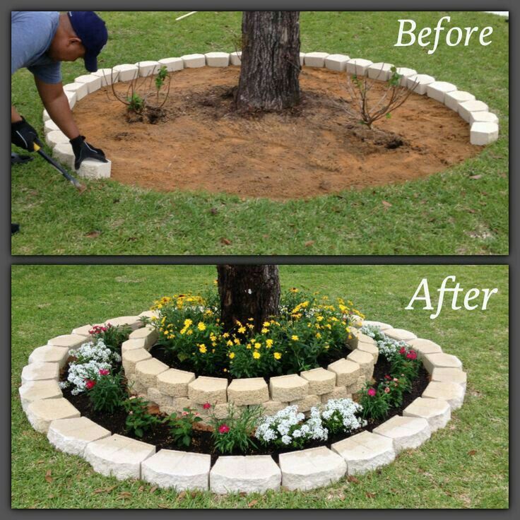 diy tree ring planter landscaping landscape designing ideas attention have you always wanted to redesign your homes landscape but dont know where to - Edging Landscaping Designs For New House diy tree ring planter landscaping landscape designing ideas attention have you always wanted to redesign your homes landscape but dont know where to - Edging Landscaping Designs For New House