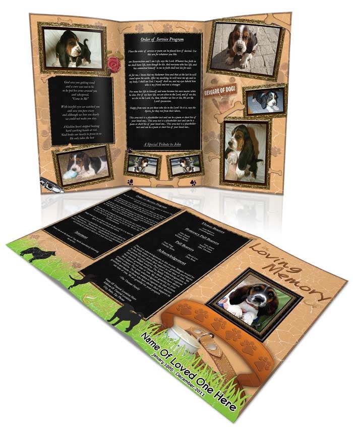 lavish electric store a4 bi fold brochure template 16 best tri fold newsletters brochures images on pinterest lavish electric store a4 bi fold brochure template 16 best tri fold newsletters brochures images on pinterest