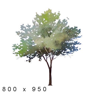 Architecture Drawing Trees 104 best tree images on pinterest | photoshop, trees and architecture Architecture Drawing Trees 104 best tree images on pinterest | photoshop, trees and architecture