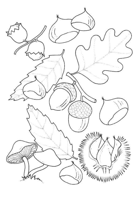 Free Coloring Pages Autumn Fall Free Coloring Pages Autumn Fall