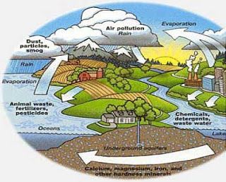 environmental pollution