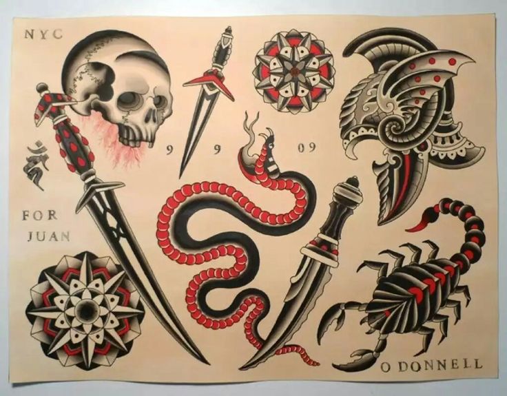 64 best men u0027s snakes ink images on pinterest snakes cool 64 best men u0027s snakes ink images on pinterest snakes cool