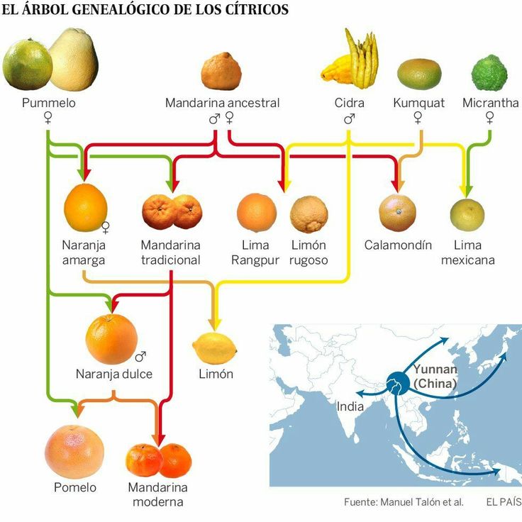 45 mejores imágenes de Curiosidades en Pinterest Conocimiento - best of tabla periodica con sus respectivas valencias 45 mejores imágenes de Curiosidades en Pinterest Conocimiento - best of tabla periodica con sus respectivas valencias