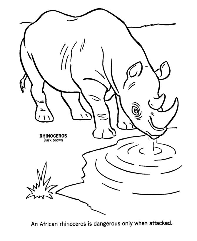 best 25+ animal coloring pages ideas on pinterest | adult coloring ... - Animal Coloring Pages Children best 25+ animal coloring pages ideas on pinterest | adult coloring ... - Animal Coloring Pages Children