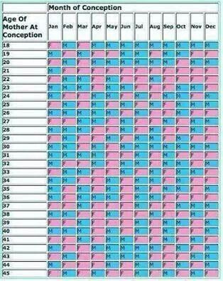 conception chart chart2 paketsusudomba co conception charts