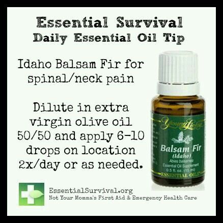 Is Oil An Natural Resource Of Basil Is Oil An Natural Resource Of Basil