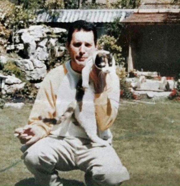 Las Fotos De Freddie Mercury Con Sus Amados Gatos Freddie Mercury Mercury Fredy Mercury