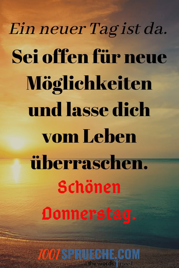 Lustige sprüche sie sucht ihn