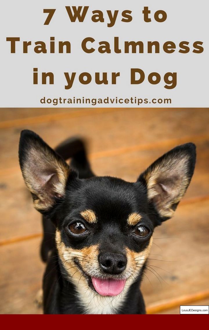 How Do I Train My Dog To Stop Barking On Command And Pics Of How