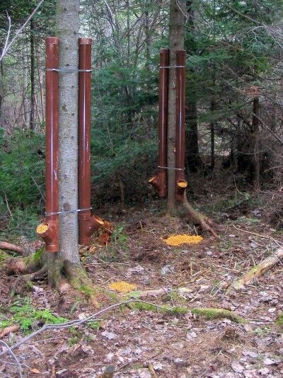 Bow Hunting Blind Plans Bow Hunting Blind Plans