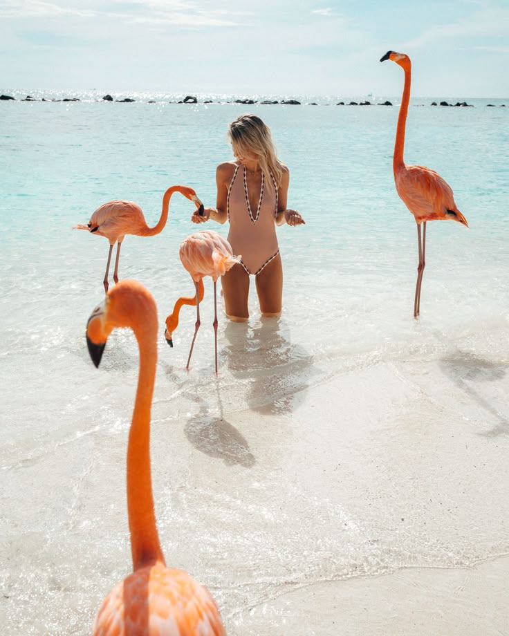 The Complete Aruba Travel Guide