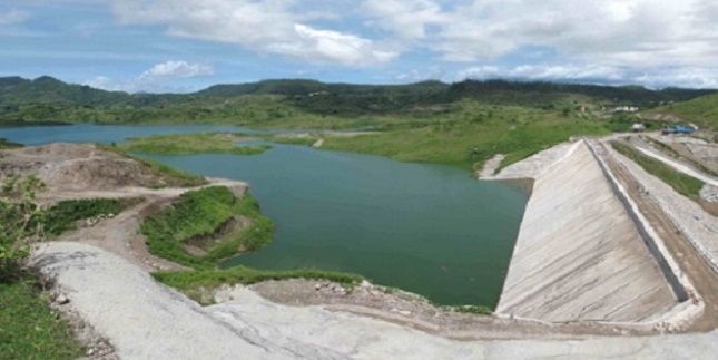 Ilustrasi Bendungan Waduk Foto Ist Ekosistem Industri