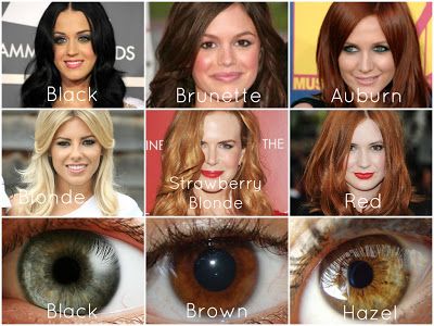 56 best skin tone charts images on pinterest beauty tips warm and cool skin tone chart