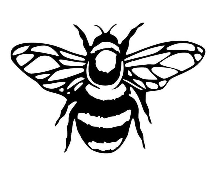 Pin by Becky Grilley on Cricut SVG Bee stencil, Bee drawing, Bee Pin by Becky Grilley on Cricut SVG Bee stencil, Bee drawing, Bee