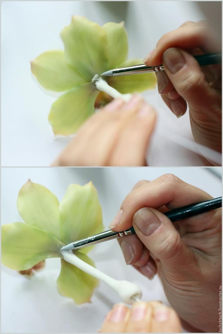 How to make a ring made of polymer clay with a decorative element in the form of an orchid flower, step by step photos and description How to make a ring made of polymer clay with a decorative element in the form of an orchid flower, step by step photos and description