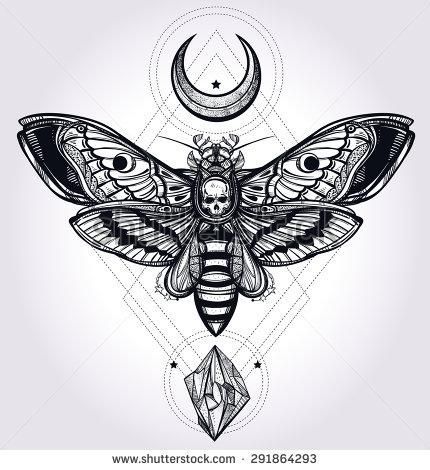 best 25 moth drawing ideas on pinterest moth tattoo giclee best 25 moth drawing ideas on pinterest moth tattoo giclee
