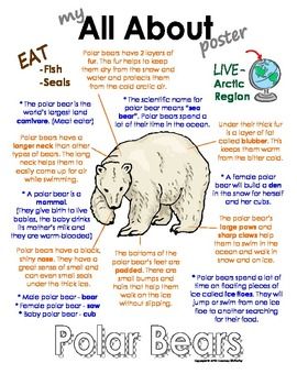 polar bears endangered essay New amnh research suggests polar bears in the warming arctic are changing what they eat a series of papers recently published by scientists at the american museum of natural history suggests that polar bears polar bears are listed as a threatened species under the united states endangered. polar bears endangered essay New amnh research suggests polar bears in the warming arctic are changing what they eat a series of papers recently published by scientists at the american museum of natural history suggests that polar bears polar bears are listed as a threatened species under the united states endangered.