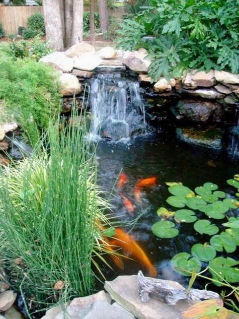 Garden Pond Supplies #watergarden Cheap Backyard Pond Ideas garden pond supplies #watergarden - Garden Pond Supplies #watergarden Cheap Backyard Pond Ideas