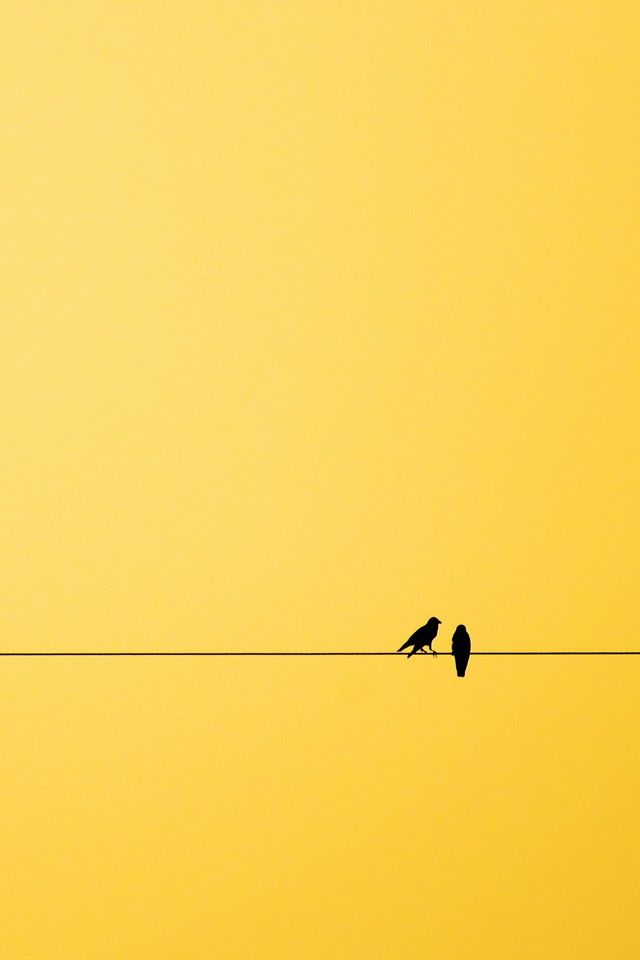 Bright Yellow Wallpaper best 25+ yellow background ideas on pinterest | iphone wallpaper Bright Yellow Wallpaper best 25+ yellow background ideas on pinterest | iphone wallpaper