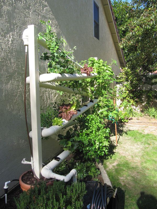 Vertical Vegetable Garden Design 43 best gardening images on pinterest | plants, gardening and Vertical Vegetable Garden Design 43 best gardening images on pinterest | plants, gardening and