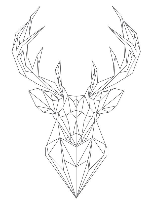 25 trending geometric deer ideas on pinterest geometric 25 trending geometric deer ideas on pinterest geometric
