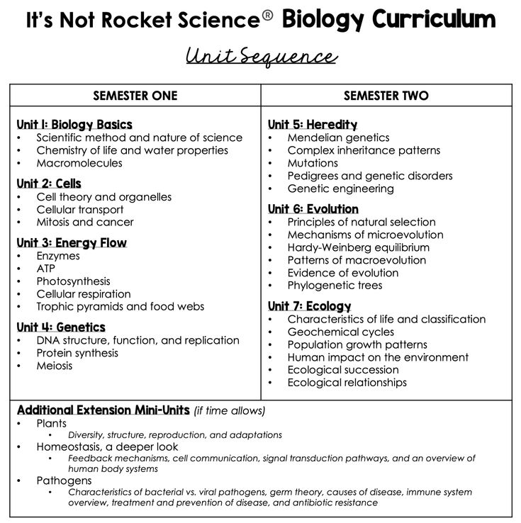 Feedback Mechanisms Worksheet Answers Biology Scope And Sequence In 2020 Biology Classroom Biology Biology Curriculum