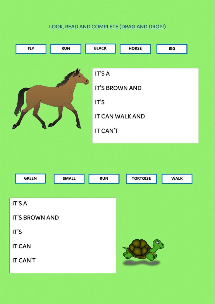Animals Description Exercise For 1 Grade animals-description-exercise-for-1-grade