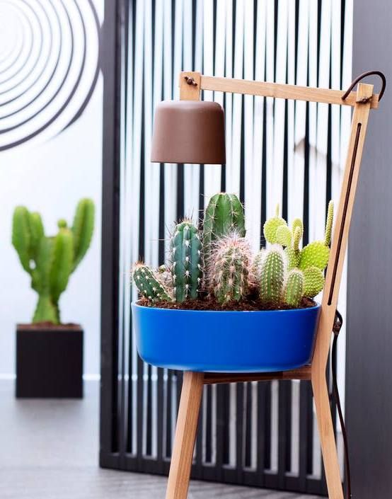 21 best \Hiver images on Pinterest Flowers, Lights and Plants - ideen für küchenwände 21 best \Hiver images on Pinterest Flowers, Lights and Plants - ideen für küchenwände