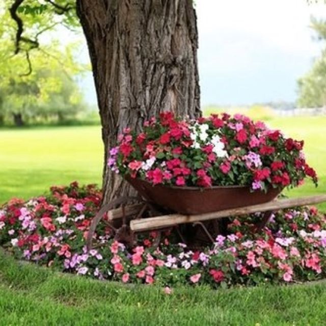 a wheelbarrow filled with flowers sitting under a tree in the middle of a field