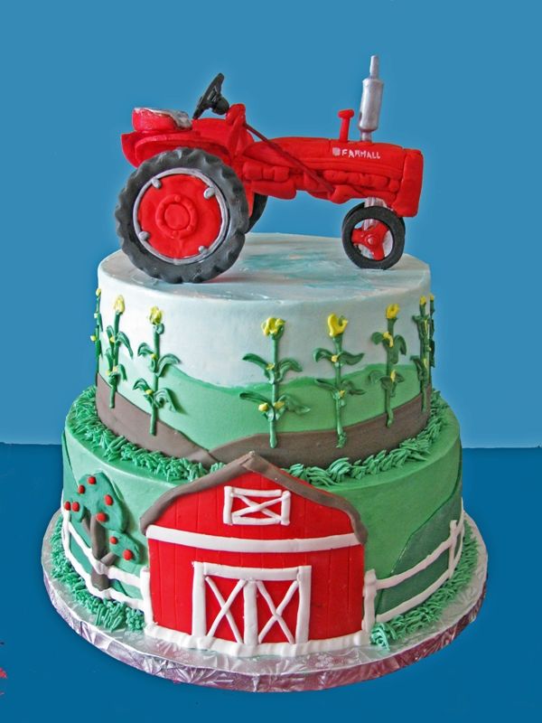 Best 25+ Tractor cakes ideas on Pinterest Tractor ...