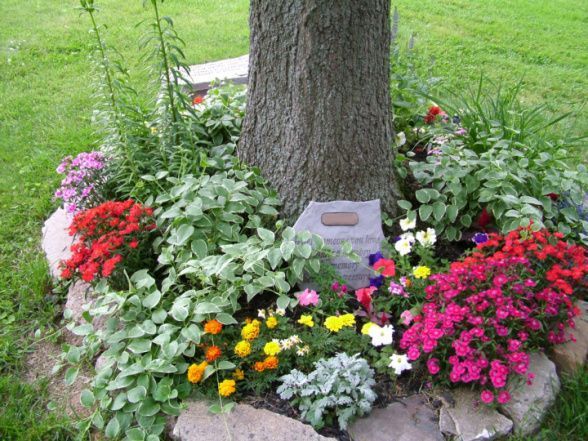 landscaping around trees nice way to landscape around your trees flower beds gardening pinterest landscaping nice and flower - Flower Garden Ideas For Under A Tree landscaping around trees nice way to landscape around your trees flower beds gardening pinterest landscaping nice and flower - Flower Garden Ideas For Under A Tree