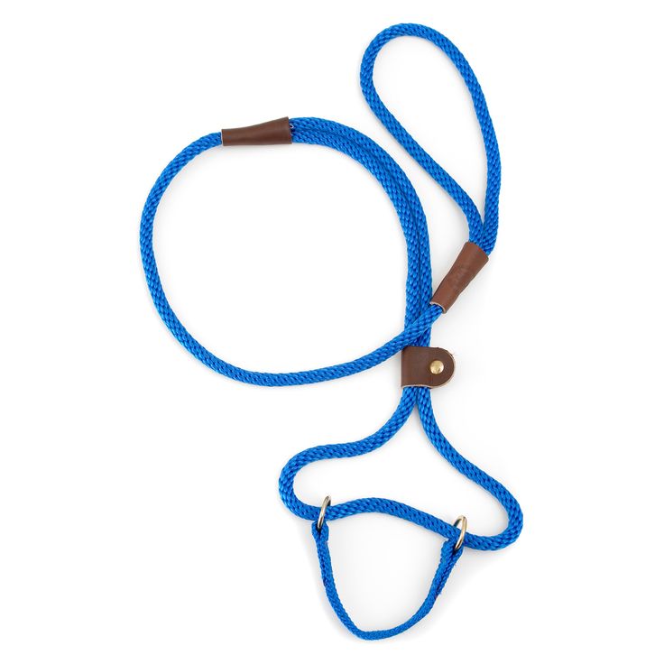 Best Dog Collar That Dog Won T Slip Off Best Dog Collar That Dog Won T Slip Off
